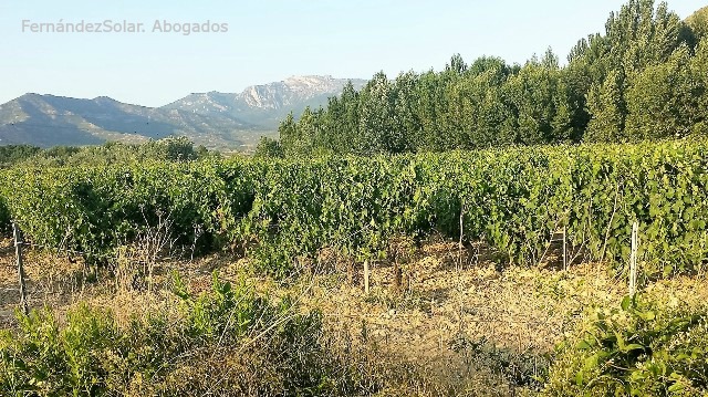 despido bodega de rioja